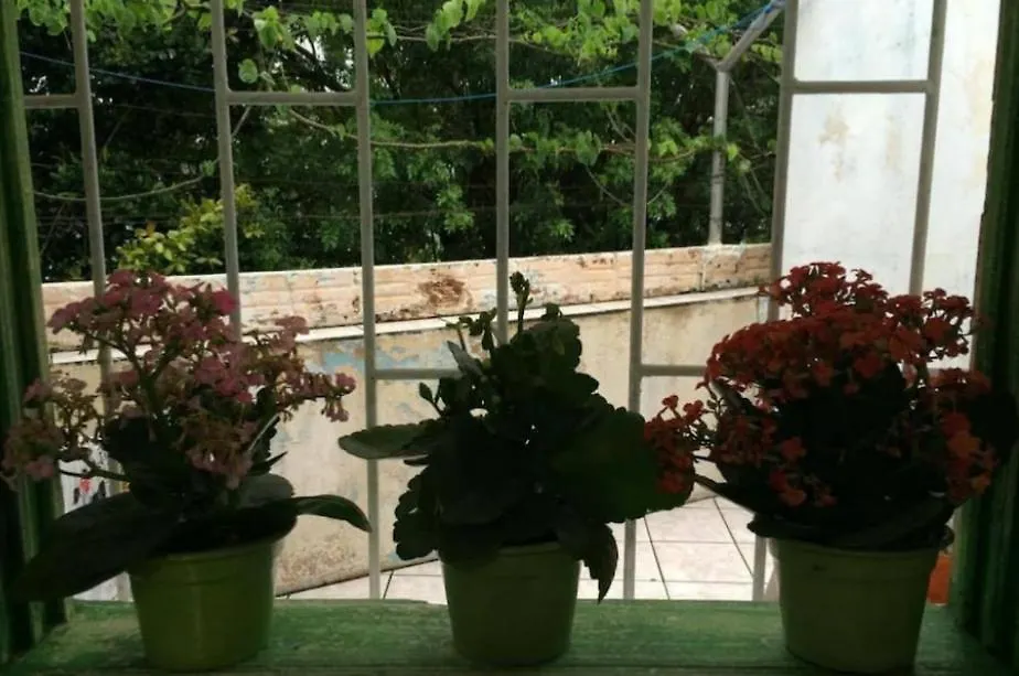Homestay Quarto Em Casa Compartilhada Florianopolis Brazil